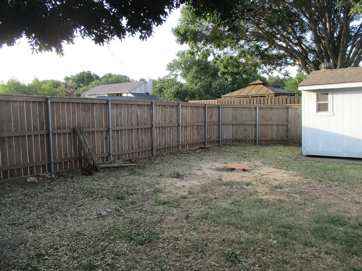 Cleared yard after professional tree removal in Ansonville